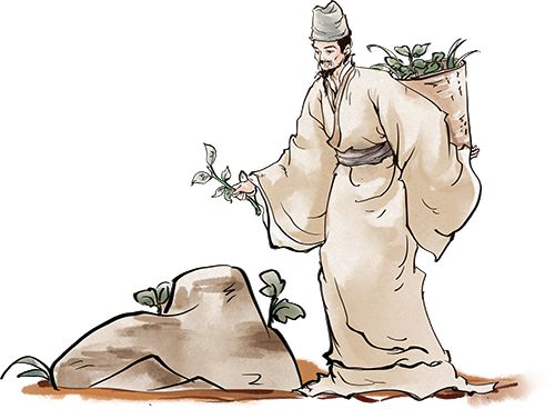 养生指南详情请戳龙8游戏网址出伏(图2)