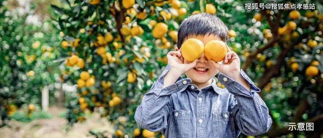 星曜)网站-尚湾林语楼盘测评-户型配套龙8游戏国际登录尚湾林语(2025大华(图29)
